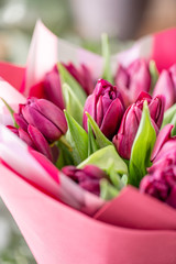 Fototapeta premium Bouquets of violet tulips. Spring flowers from Dutch gardener. Concept of a florist in a flower shop. Wallpaper.