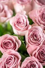 Pink roses in glass vases. Bunch pastel color. the concept of a florist in a flower shop. Wallpaper.