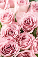 Pink roses in glass vases. Bunch pastel color. the concept of a florist in a flower shop. Wallpaper.