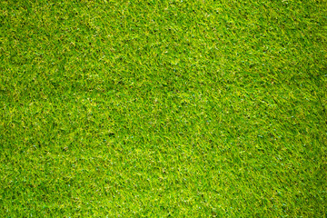Obraz premium Top view .Green grass lawn in nature for background and texture.
