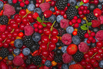 various berries background