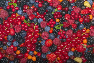 various berries background