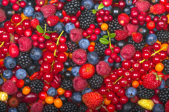 various berries background. top view