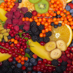Naklejka na ściany i meble set of fruits and berries background