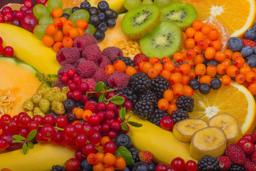 set of fruits and berries background