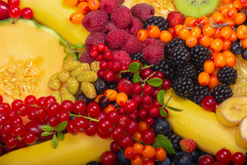 set of fruits and berries background