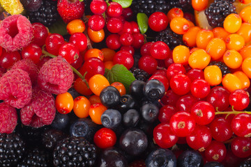 set of berries background