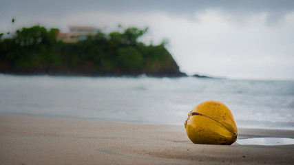 Coconut at Playa Tamarindo Costa Rica