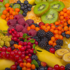 set of fruits and berries background