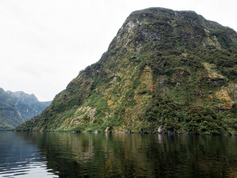 Doubtful Sound, New Zealand, South Island, NZ