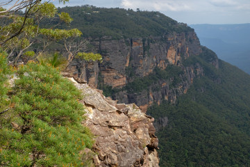 Fototapeta na wymiar Blue Mountains, Australien, 2019