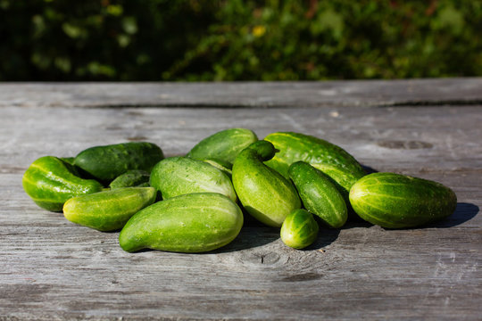 Green fresh cucumbers on wooden background