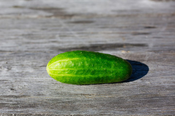Green fresh cucumber on wooden background