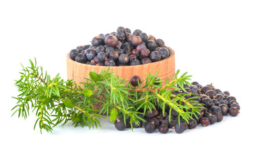 heap of juniper berries in wooden cup isolated on white background