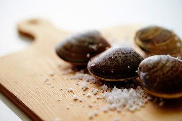 Shellfishes on cutting board 