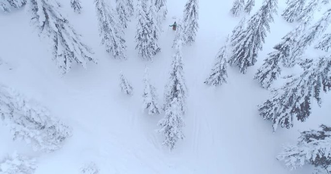 Young male freeride skier riding in snow covered forest