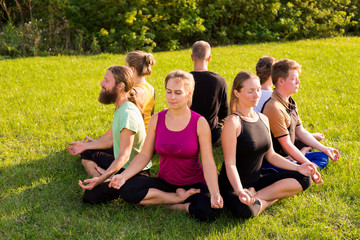 Fototapeta premium A group of people in a lotus pose on a green lawn in the park