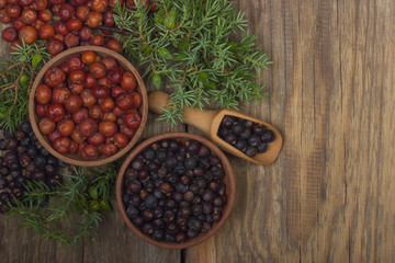 Fototapeta premium heap of red and black juniper berries background