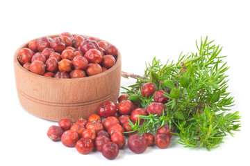 heap of red juniper berries with branches isolated on white background