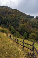 Fototapeta na wymiar autumn in rodopa mountain, bulgaria