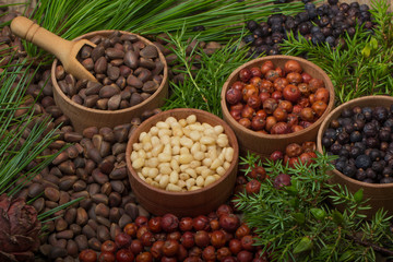 cedar nuts and juniper berries on wooden background