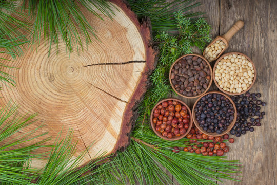 cedar nuts and juniper berries on wooden background © lewal2010