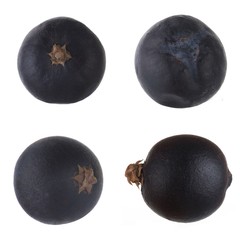 set of black juniper berries isolated on white background