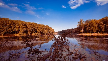 big natural lake in forest on sunny summer midday with deep blue sky, still water surface, nature panorama background photo