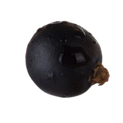 black  juniper berry isolated on white background