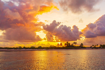 Coastline with a tropical beach and the turquoise water of the inner lagoon of the atoll of Tikehau at Sunset. Tuamotus archipelago, French Polynesia, south Pacific ocean.