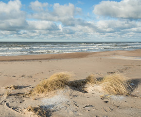 Baltic sea coastline.
