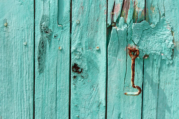 Green peeling paint on an old wooden barn wall.