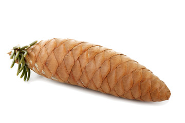cone of fir isolated on white background