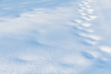 Fototapeta na wymiar traces of a man in a winter field