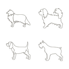 Isolated object of cute and puppy symbol. Collection of cute and animal vector icon for stock.