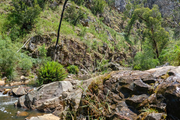 Mackenzie Falls, Australien, 2019