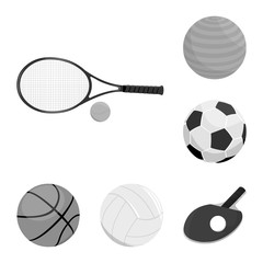 Vector design of ball and soccer logo. Set of ball and basketball stock vector illustration.