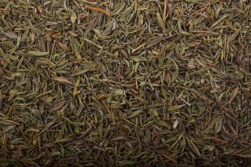 dried  thyme background