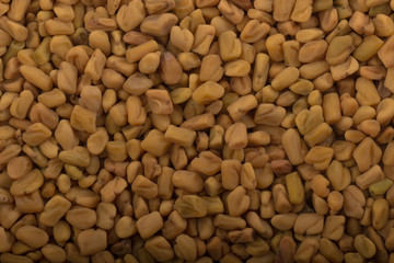 fresh yellow fenugreek background
