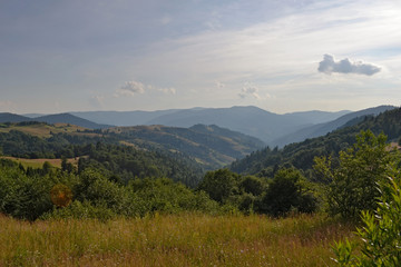 View of the Carpathian mountains from the blooming lawn