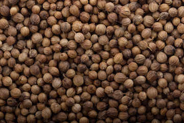 seeds of coriander background