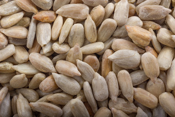 shelled seeds of sunflower background