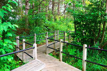 Fototapeta premium Wooden path in a park in State of Michigan near the lake. Boardwalk