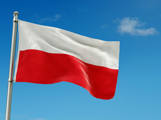 Fototapeta na wymiar Polish flag waving against the sky