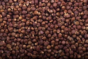 Grains of paradise background