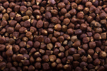 Grains of paradise background