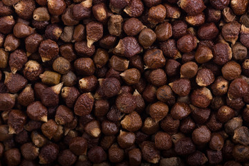 Grains of paradise background