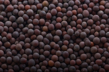 Fototapeta premium black mustard seeds background