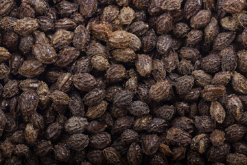 pawpaw seeds background