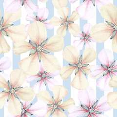 Seamless pattern of hand drawn apple flowers on stripes